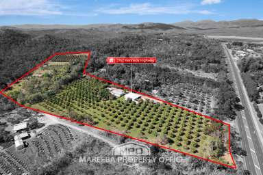 Farm For Sale - QLD - Mareeba - 4880 - ORGANIC FRUIT FARM & DEHYDRATING BUSINESS - Far North Qld  (Image 2)