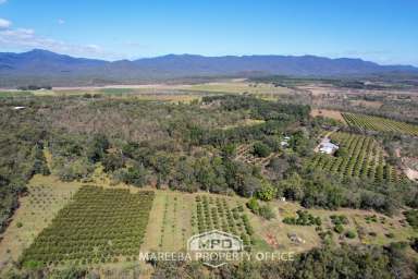 Farm For Sale - QLD - Mareeba - 4880 - ORGANIC FRUIT FARM & DEHYDRATING BUSINESS - Far North Qld  (Image 2)