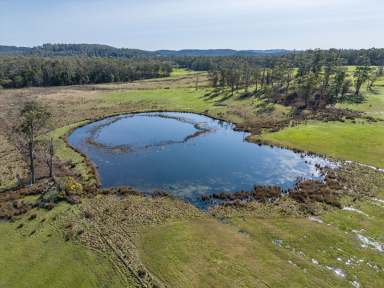 Farm For Sale - TAS - Exeter - 7275 - Rural Opportunity on 45 Acres - Part of 234 Winkleigh Rd, Exeter  (Image 2)