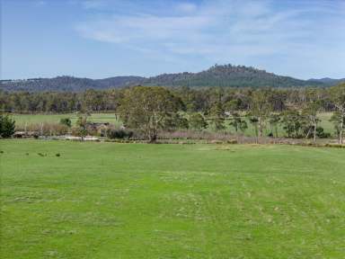 Farm For Sale - TAS - Exeter - 7275 - Rural Opportunity on 45 Acres - Part of 234 Winkleigh Rd, Exeter  (Image 2)