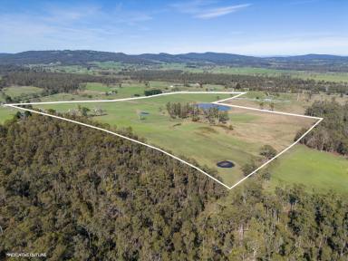 Farm For Sale - TAS - Exeter - 7275 - Charming Rural Opportunity Close to Town  (Image 2)