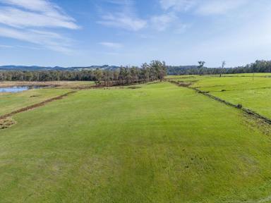 Farm For Sale - TAS - Exeter - 7275 - Charming Rural Opportunity Close to Town  (Image 2)