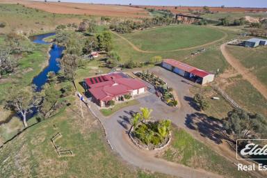 Farm For Sale - SA - Hamley Bridge - 5401 - COUNTRY LIVING WITH 16.5 ACRES ON THE RIVER  (Image 2)