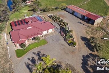 Farm For Sale - SA - Hamley Bridge - 5401 - COUNTRY LIVING WITH 16.5 ACRES ON THE RIVER  (Image 2)