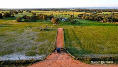 Farm For Sale - WA - Gingin - 6503 - "The Ranch" Prime Location and Property!  (Image 2)