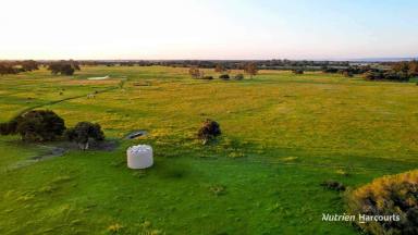 Farm For Sale - WA - Muckenburra - 6503 - "The Ranch" Prime Location and Property!  (Image 2)