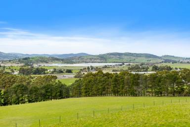 Farm For Sale - TAS - Orielton - 7172 - A peaceful rural lifestyle with income  (Image 2)