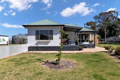 Farm For Sale - VIC - Red Cliffs - 3496 - Charming Semi-Rural Retreat on Over 4 Acres  (Image 2)