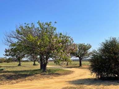 Farm For Sale - WA - Merredin - 6415 - Large 6-Bedroom Farmhouse on 45 Acres  (Image 2)