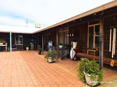 Farm For Sale - WA - Merredin - 6415 - Large 6-Bedroom Farmhouse on 45 Acres  (Image 2)