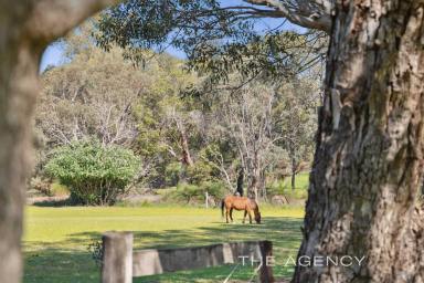 Farm For Sale - WA - Wundowie - 6560 - Charmingly Country  (Image 2)