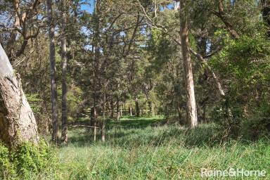 Farm For Sale - NSW - Moss Vale - 2577 - Central Development Potential  (Image 2)