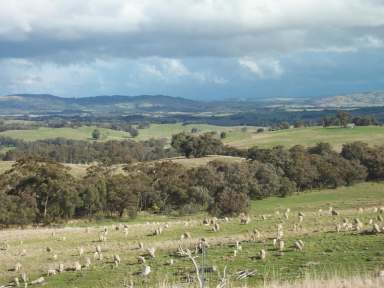 Farm For Sale - VIC - Heathcote - 3523 - 138 ACRE ESTATE WITH UNINTERRUPTED VIEWS  (Image 2)