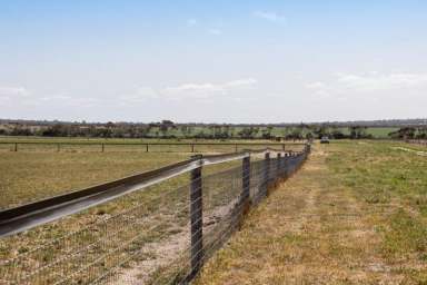 Farm Expressions of Interest - SA - Gifford Hill - 5253 - Murray Bridge Equine Adjacent to the Murray Bridge Racecourse  (Image 2)