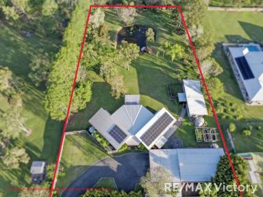 Farm For Sale - QLD - Upper Caboolture - 4510 - *****Welcome to "WINGS LANDING" where your Realestate dreams become REAL*****  (Image 2)