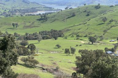 Farm For Sale - VIC - Granya - 3701 - "WOODRIDGE" Granya 37.95*Ha/93.77*Acres  (Image 2)