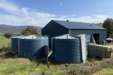 Farm For Sale - VIC - Granya - 3701 - "WOODRIDGE" Granya 37.95*Ha/93.77*Acres  (Image 2)