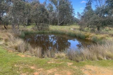 Farm For Sale - VIC - Indigo Valley - 3688 - "COOPERS" 16.62*HA / 41*Acres  (Image 2)