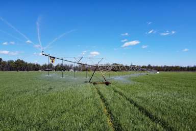 Farm For Sale - QLD - Dixalea - 4702 - Central Queensland Grazing & Irrigation Property  (Image 2)