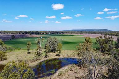 Farm Auction - QLD - Dixalea - 4702 - Central Queensland Grazing & Irrigation Enterprise  (Image 2)