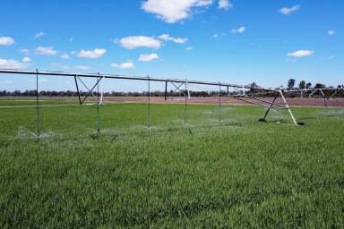 Farm For Sale - QLD - Dixalea - 4702 - Central Queensland Grazing & Irrigation Property  (Image 2)