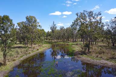 Farm For Sale - QLD - Dixalea - 4702 - Central Queensland Grazing & Irrigation Property  (Image 2)