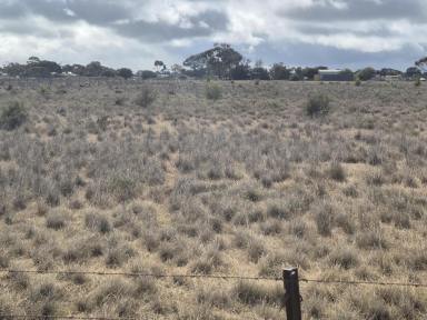 Farm For Sale - SA - Two Wells - 5501 - Prime 3.845 Hectare Allotment  (Image 2)