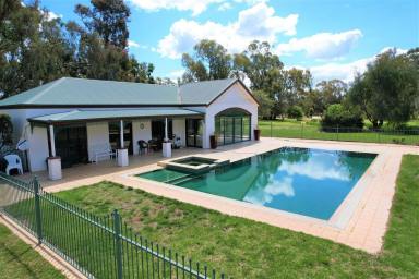 Farm Expressions of Interest - NSW - Tocumwal - 2714 - Pine Lodge| Tuppal Creek Historic Holding  (Image 2)