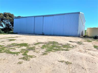 Farm Expressions of Interest - SA - Butler - 5605 - Freehold  (Image 2)