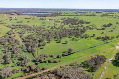 Farm For Sale - WA - Gingin - 6503 - Best finishing off block !!!  (Image 2)