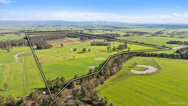 Farm For Sale - VIC - Flynn - 3844 - CORNER OF STUCKEYS LANE AND PRINCESS HIGHWAY, FLYNN  (Image 2)