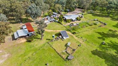 Farm For Sale - VIC - Munro - 3862 - Secluded Lifestyle Property  (Image 2)