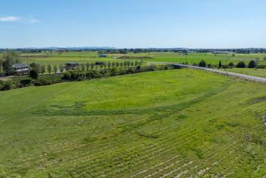 Farm For Sale - NSW - East Maitland - 2323 - Stunning Vacant 5 acres on edge of town  (Image 2)