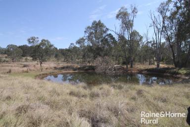 Farm For Sale - QLD - Coolabunia - 4610 - Fantastic lifestyle block close to Kingaroy !  (Image 2)