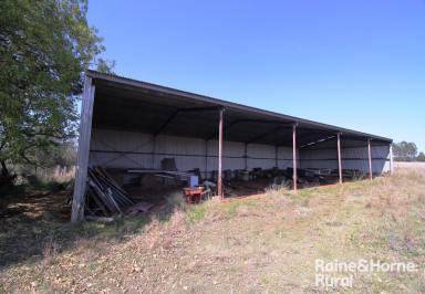 Farm For Sale - QLD - Coolabunia - 4610 - Fantastic lifestyle block close to Kingaroy !  (Image 2)