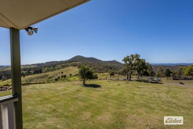 Farm For Sale - QLD - Ingoldsby - 4343 - OH THOSE VIEWS!! SIMPLY STUNNING!!  (Image 2)