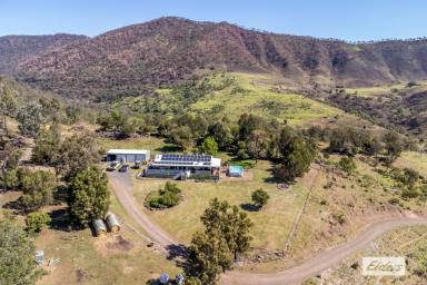 Farm For Sale - QLD - Ingoldsby - 4343 - OH THOSE VIEWS!! SIMPLY STUNNING!!  (Image 2)