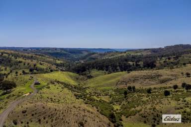 Farm For Sale - QLD - Ingoldsby - 4343 - OH THOSE VIEWS!! SIMPLY STUNNING!!  (Image 2)