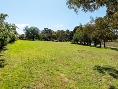 Farm For Sale - NSW - Cargo - 2800 - Looking for peace and quiet?  (Image 2)