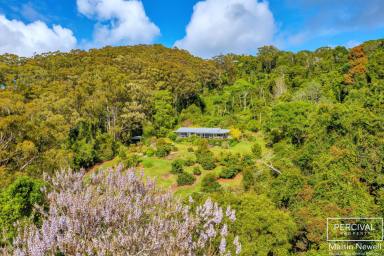 Farm For Sale - NSW - Comboyne - 2429 - Haven View Lodge ( 5.26ha / 13 acres )  (Image 2)