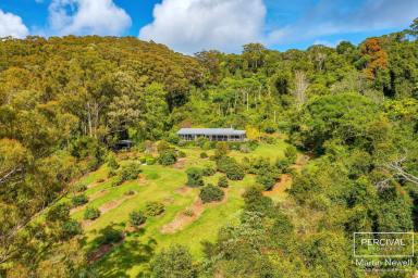 Farm For Sale - NSW - Comboyne - 2429 - Haven View Lodge ( 5.26ha / 13 acres )  (Image 2)