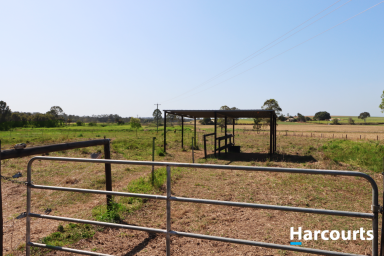 Farm For Sale - QLD - Doolbi - 4660 - JUST OVER 20 ACRES RIGHT ON THE DOOR STEP OF CHILDERS  (Image 2)