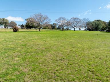 Farm For Sale - NSW - Cargo - 2800 - 1.2* Acres in Cargo  (Image 2)