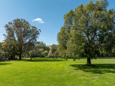 Farm For Sale - NSW - Cargo - 2800 - 1.2* Acres in Cargo  (Image 2)