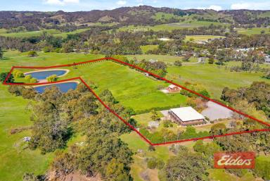 Farm For Sale - SA - Kersbrook - 5231 - PARADISE IN THE HILLS  (Image 2)