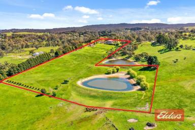 Farm For Sale - SA - Kersbrook - 5231 - PARADISE IN THE HILLS  (Image 2)