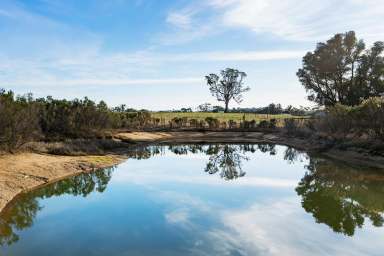 Farm Sold - VIC - Elphinstone - 3448 - A Farm Choice  (Image 2)