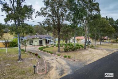 Farm For Sale - NSW - Wolumla - 2550 - HORSE LOVER'S PARADISE  (Image 2)