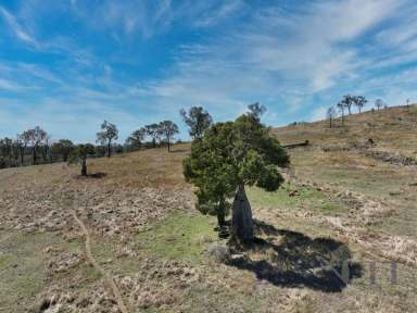 Farm For Sale - QLD - Degilbo - 4621 - Degilbo Grazing Block  (Image 2)