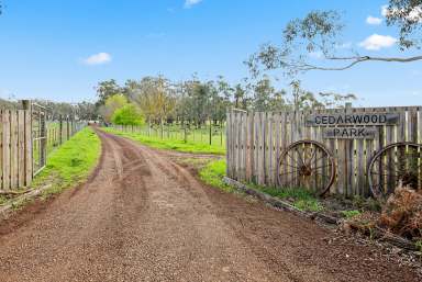 Farm Tender - VIC - Jancourt - 3266 - Cedarwood Park - Stately Homestead on Acreage  (Image 2)